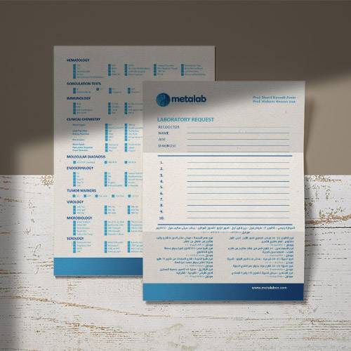 Metalab Branding