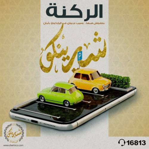 Social Media Campaigns